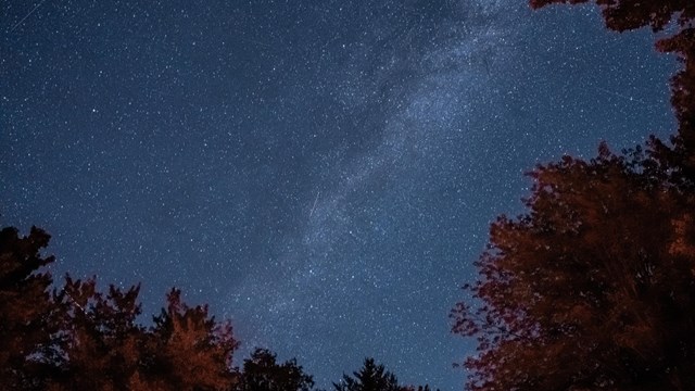 A blue sky filled with thousands of white stars hangs over a shadowed forest and waterway.
