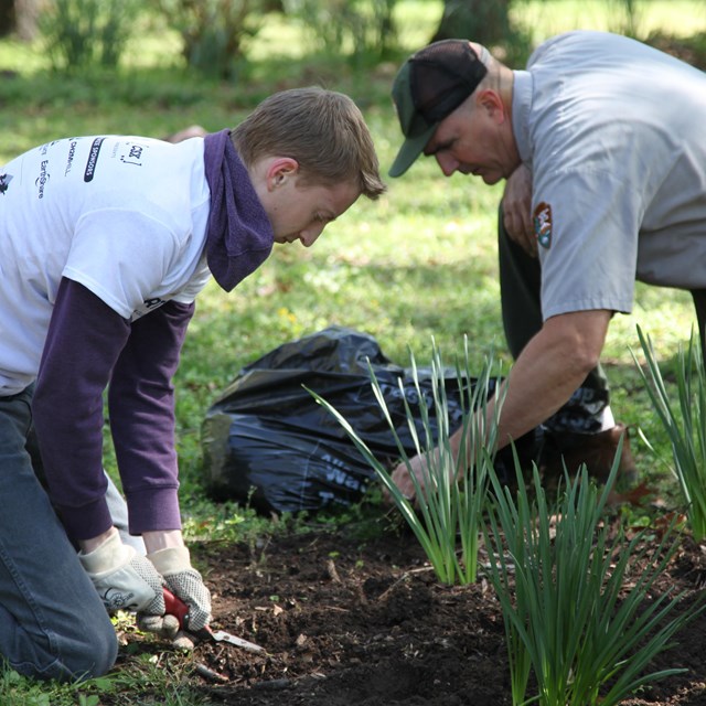 Volunteer working with park staff