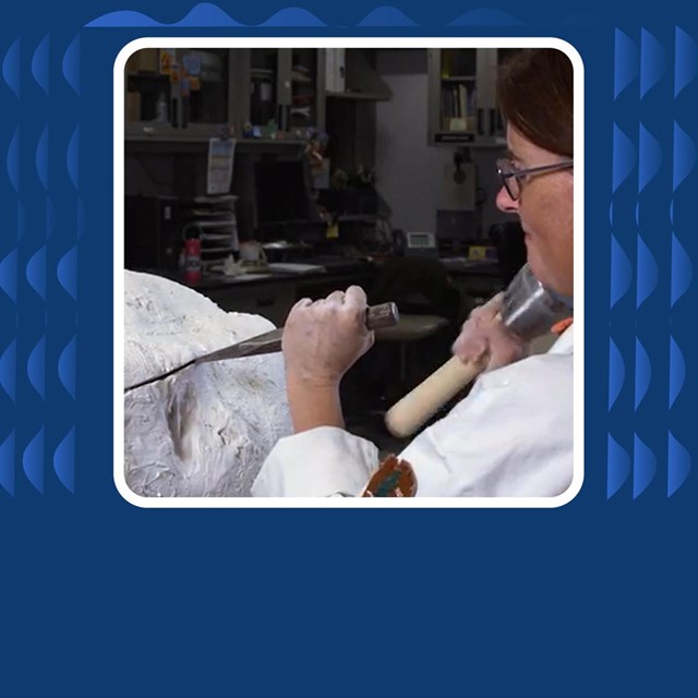 Photo of scientist tapping rock with chisel