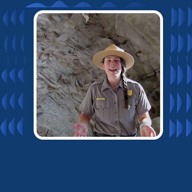 Photo of ranger in front of of quarry with dinosaur fossils