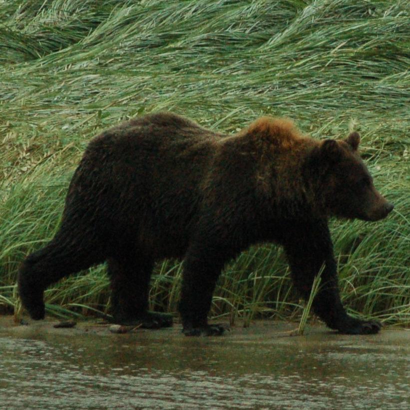 Guide to Planning Your Hike - Klondike Gold Rush National 