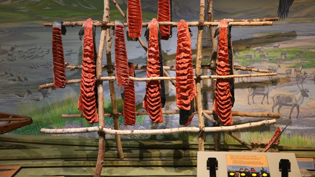 Display of salmon on drying racks in our visitor center