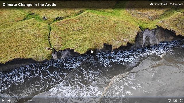 Video still of a coastal arctic tundra scene