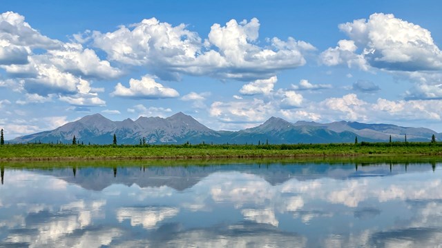 Green river scenery with blue mountains and sky in the background