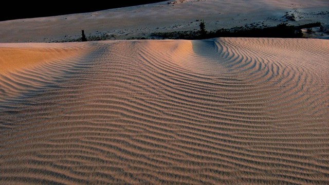 Red and Orange Sand dunes at golden hour 