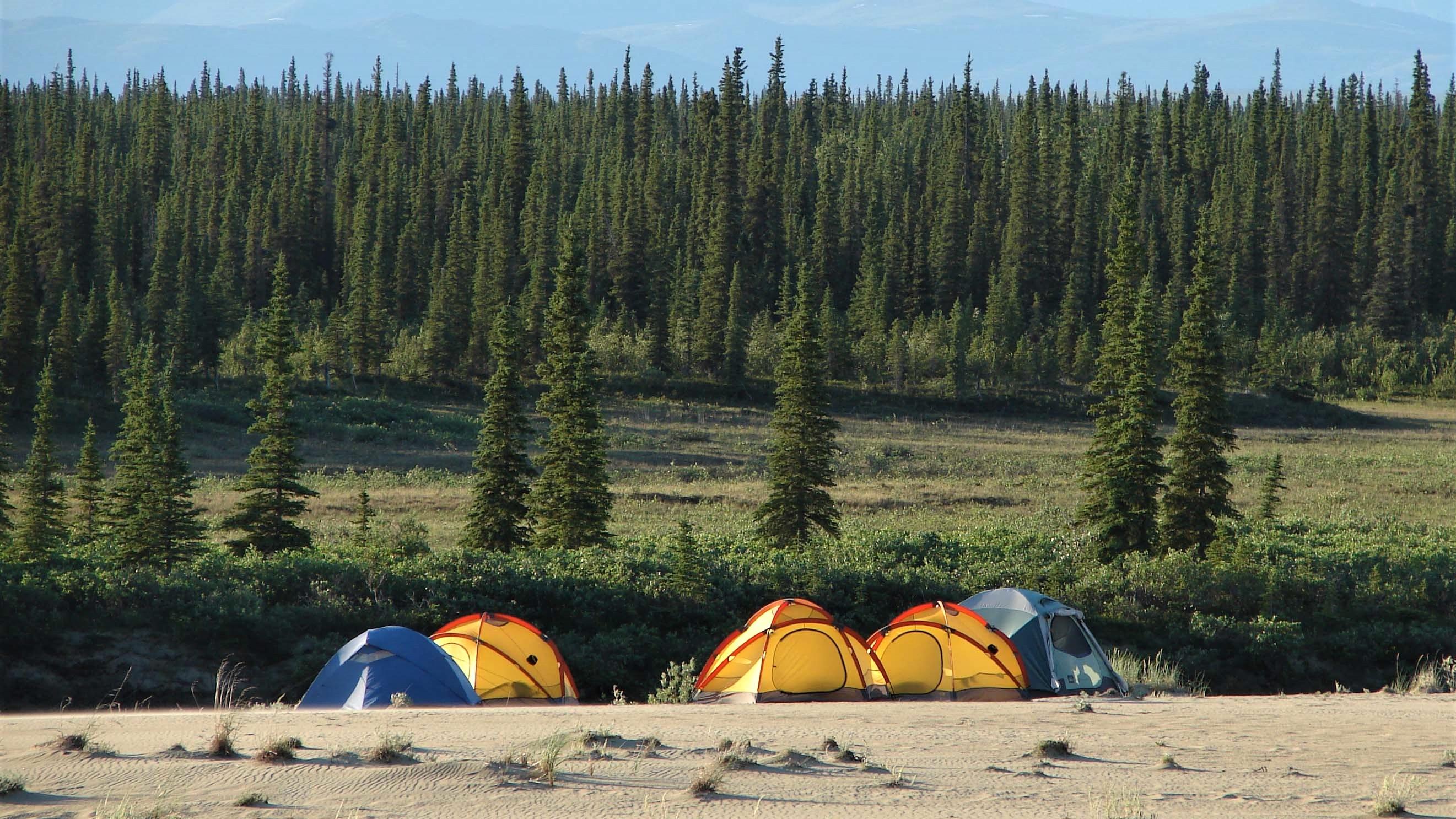  5 tents on the sand dunes near forest and mountains.