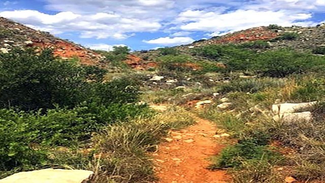 A hiking trail at Lake Meredith between mesas with green plants and blue skies with white clouds 