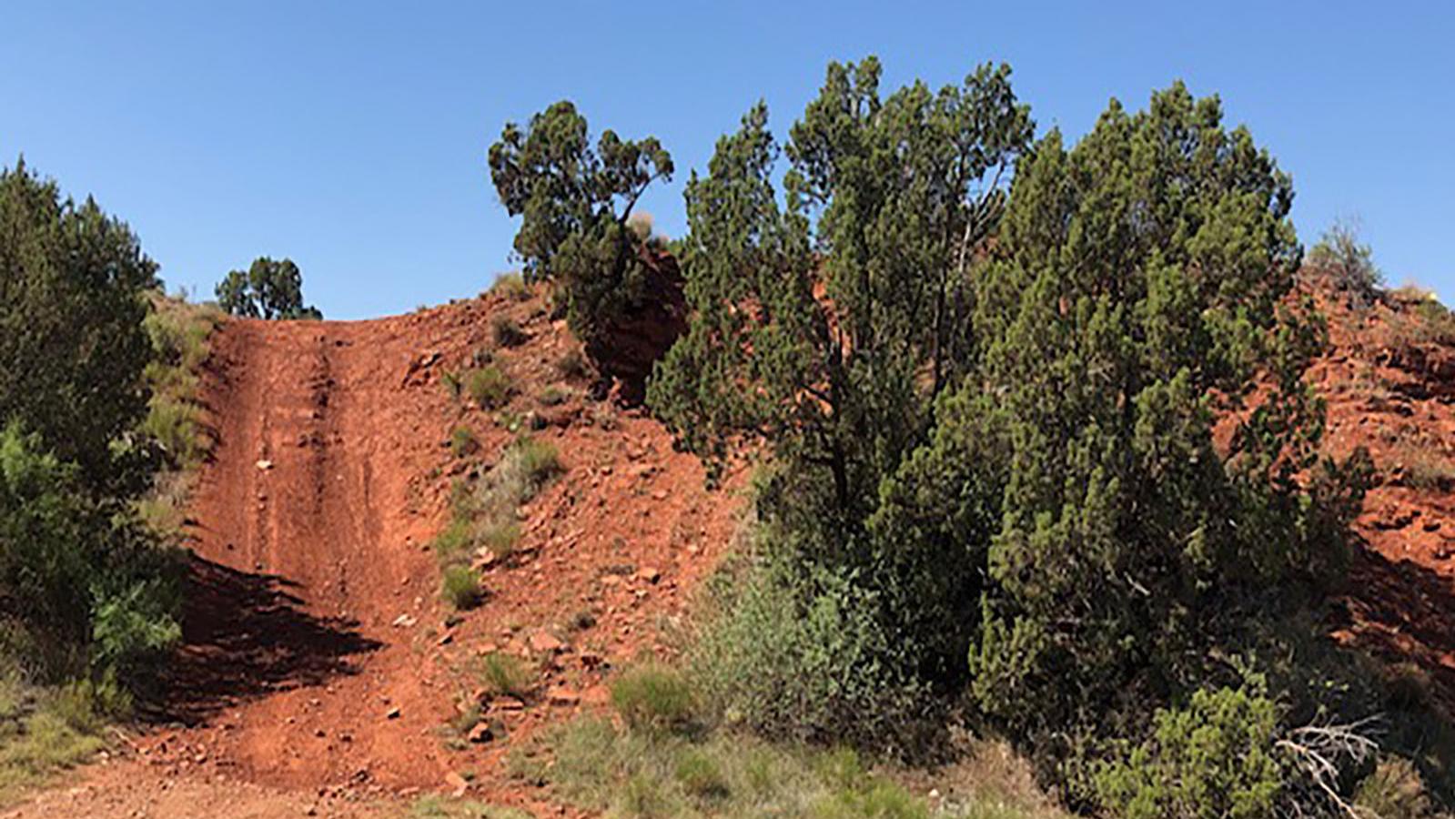 A brown NPS sign at the entrance of Rosita with green cottonwoods on a sunny day. 