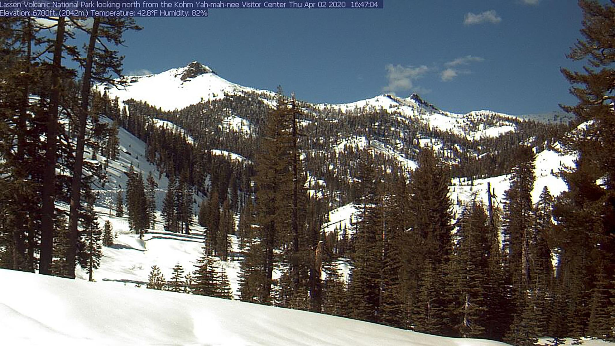 A color landscape of dark green conifers with snow on the ground and on top of background peaks