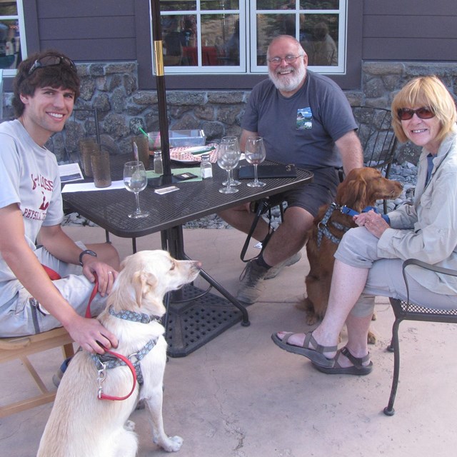 Visitors with leashed dogs at table 