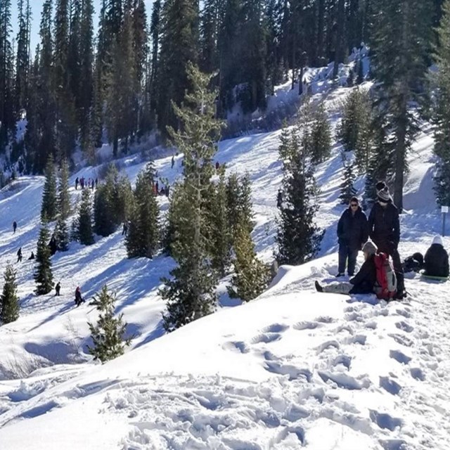 Sledders enjoing the snowy slopes near the Kohm Yah-mah-nee Visitor Center