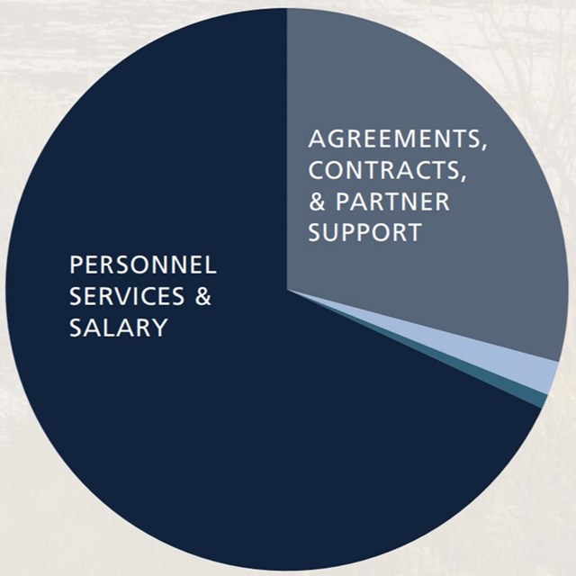 a pie chart