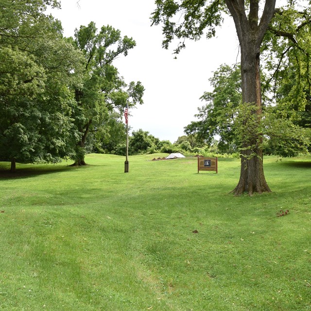 grassy area with flagpole