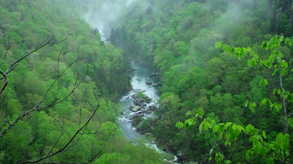 Little River Canyon National Preserve U S National Park Service