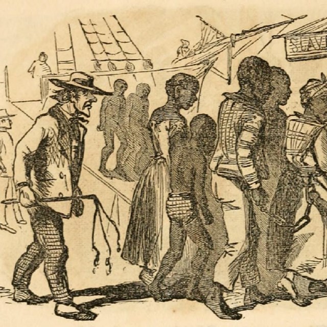 An illustration of enslaved people being removed from a slaveship and put on an auction block.