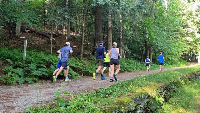 group of people running on carriage road trail