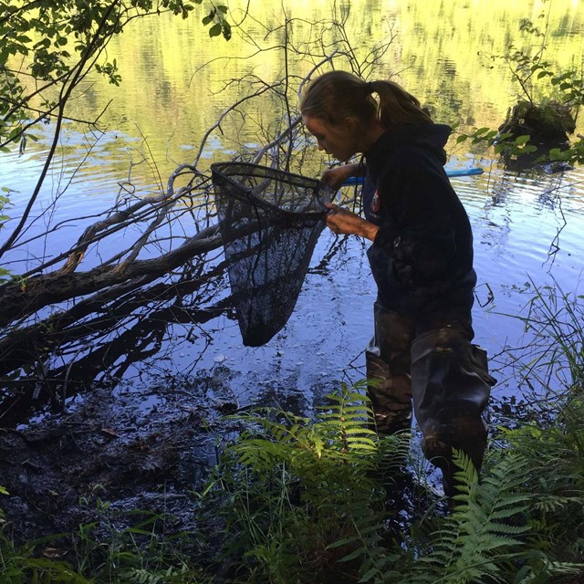 person looks in sampling net in front of a pond