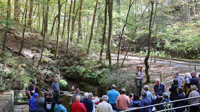 A large group of people stand at the entrance to a cave in a forest.