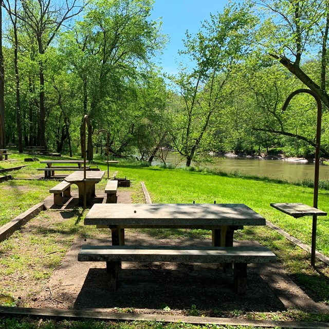 Campsites with picnic tables next to a tree lined river.