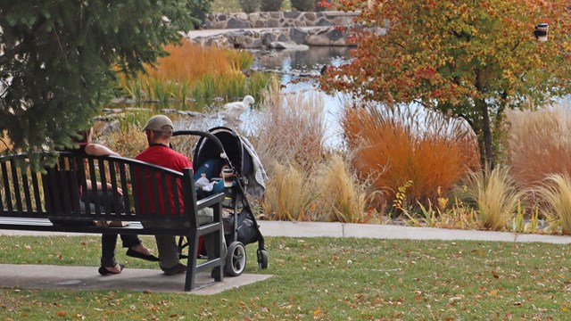 A couple sits on a bench looking toward a pond. 