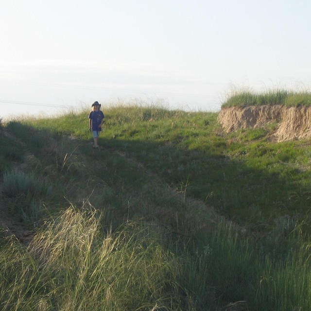 A person walks through a notch in a grassy hill.