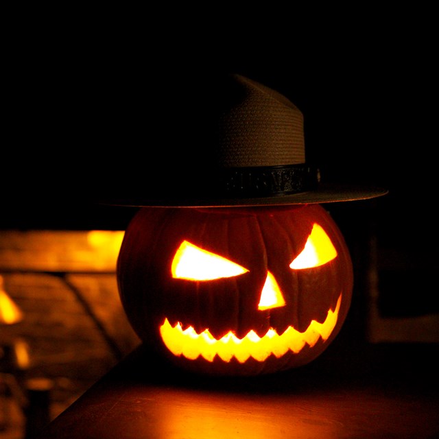 Jack o lantern wearing a park ranger hat in a dark room. Glowing orange fireplace in the background.