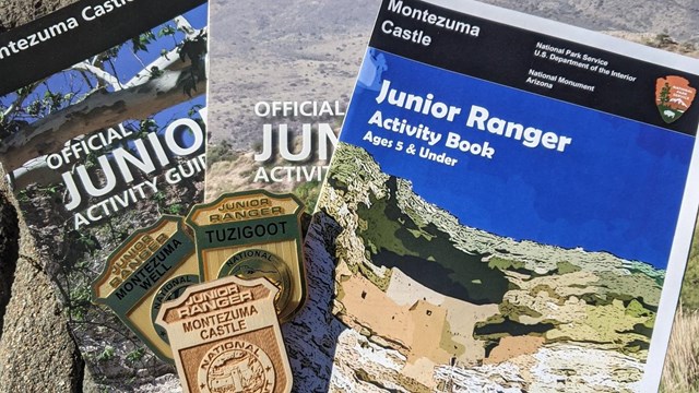 Junior ranger activity book