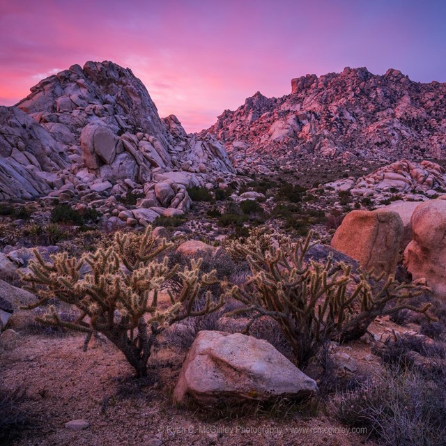Pinkish red sky over large boulders with cactus.