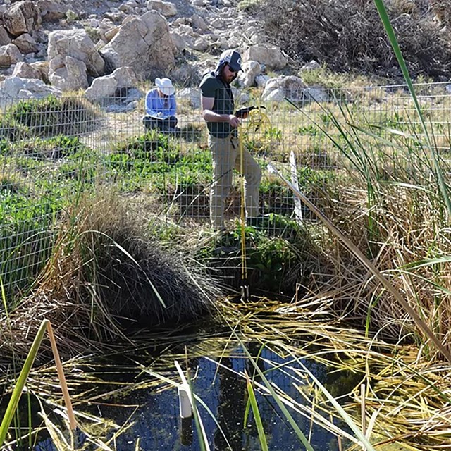 Researchers standing by a fenced in large spring in Mojave Preserve