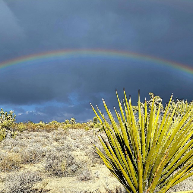 A rainbow over Mojave Road