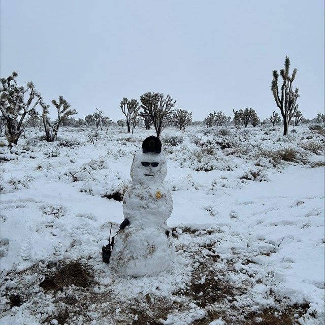 A snowman in the Mojave