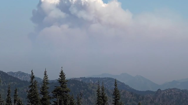 A hazy view looking South from Sunrise area with poor visibility of any distant hills and peaks.