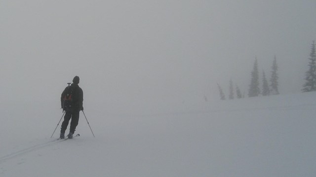 A skier on a snowy slope mostly obscured by fog. 