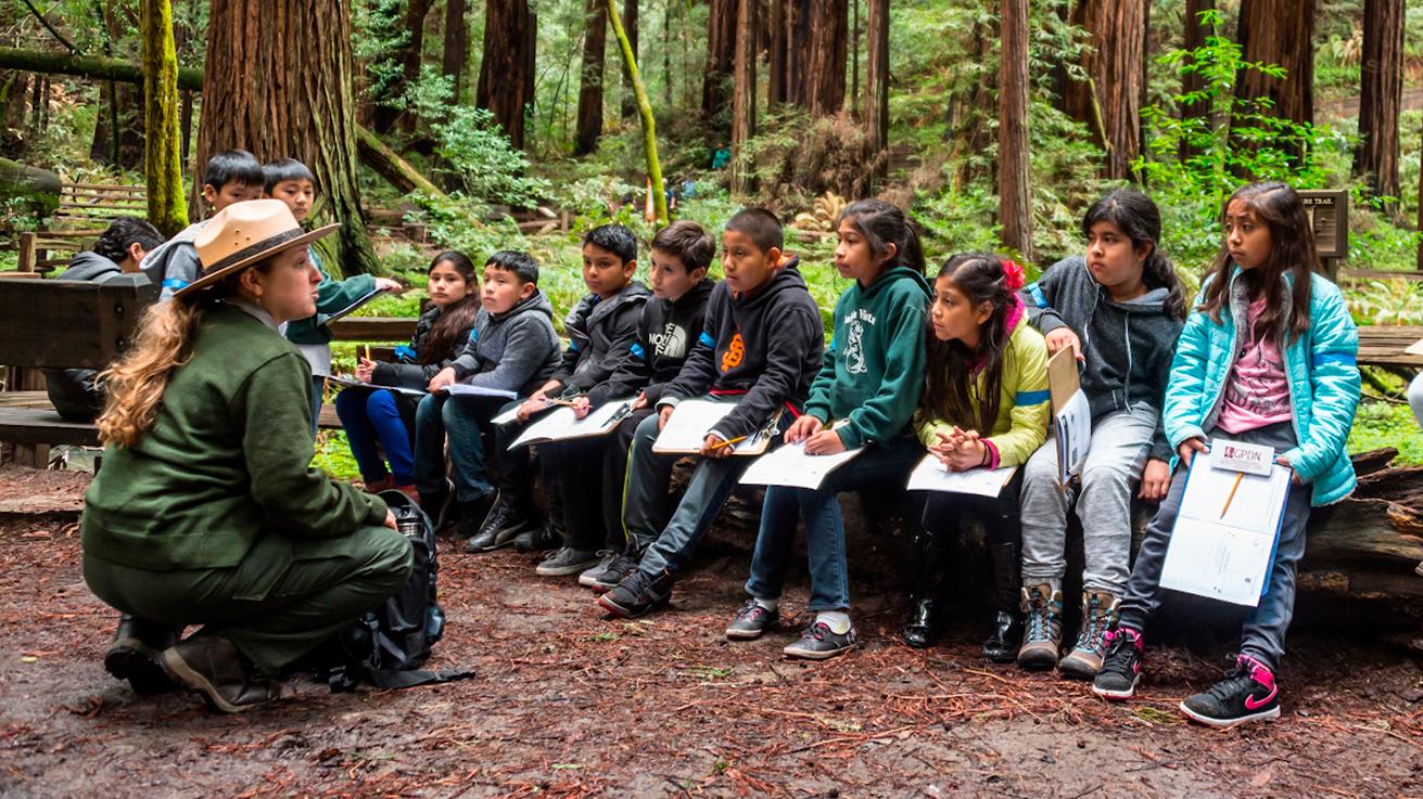 A ranger sits in front of a group of children in the middle of a redwood grove