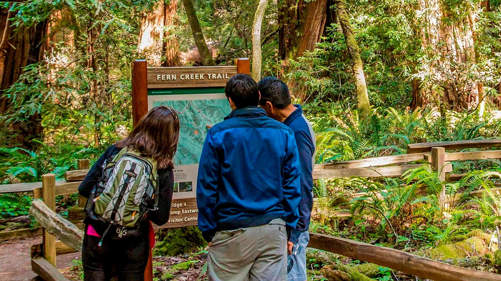 Hikers looking at at a trailhead at Muir Woods National Monument