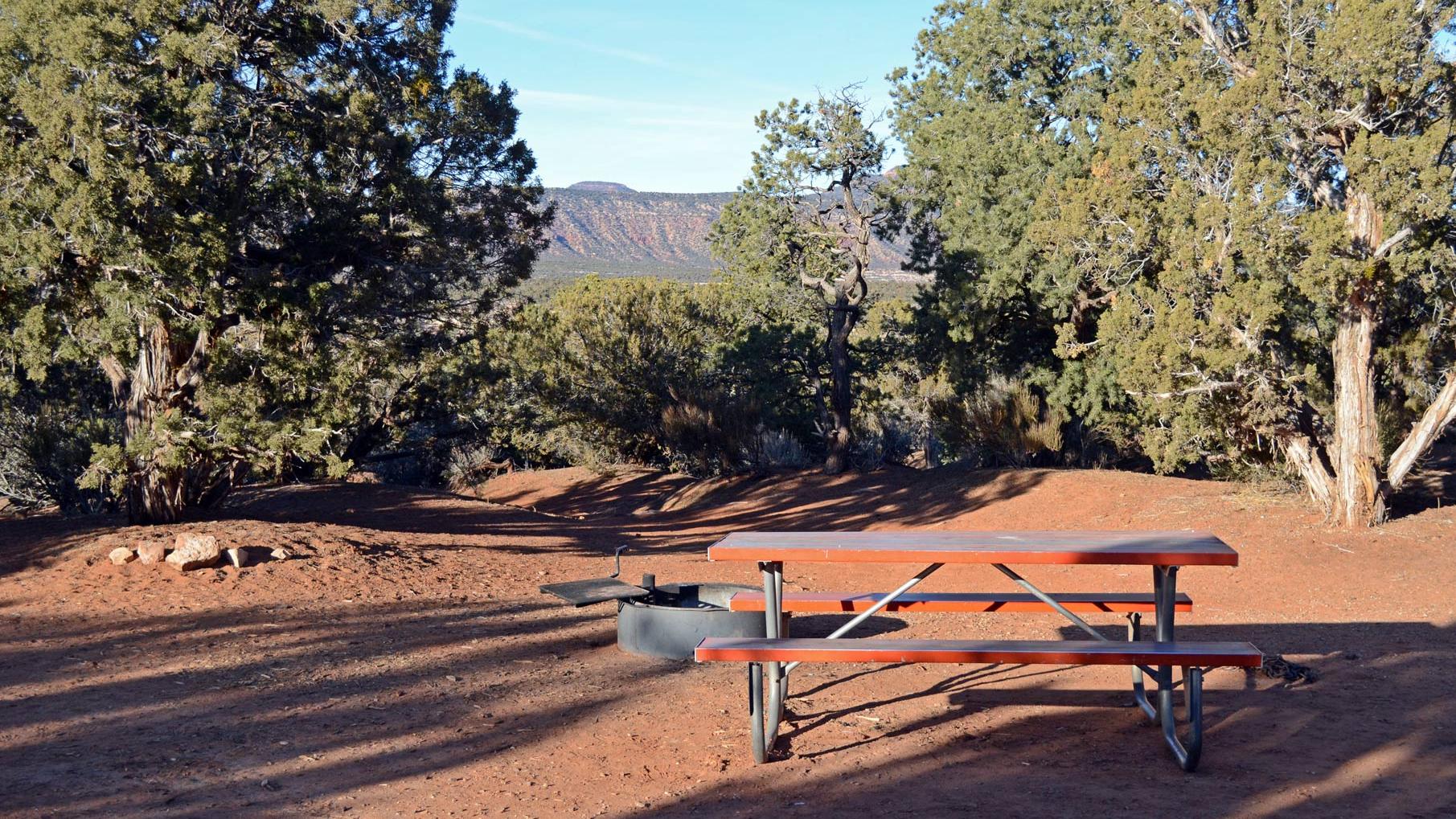 picnic table and fire grill at Natural Bridges campsite