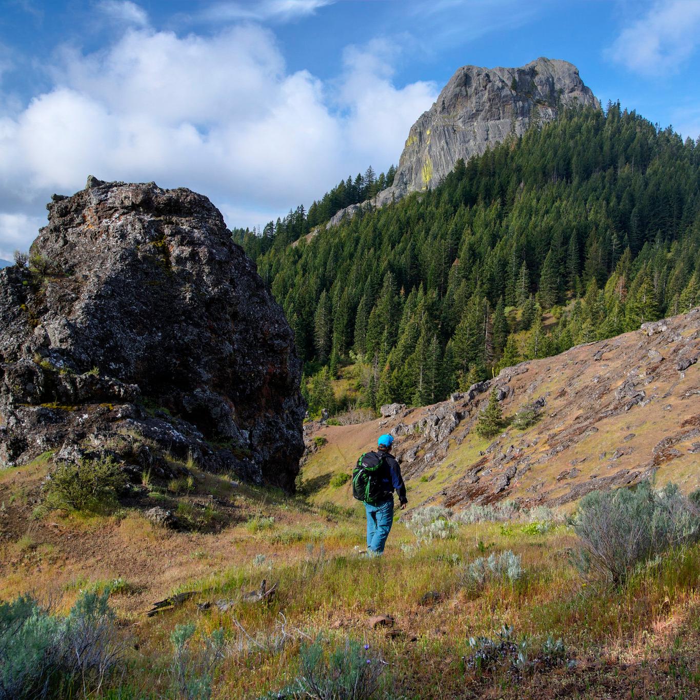Pacific Crest 