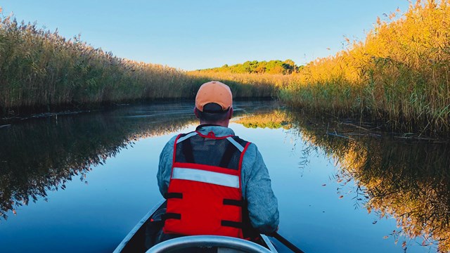 A field crew member paddles a boat in the middle of a river lined by marshes