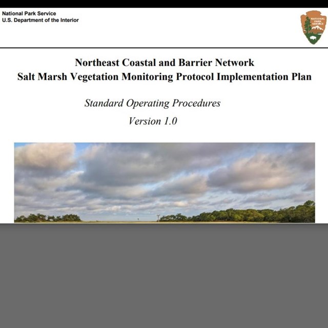 Screenshot of salt marsh document cover page