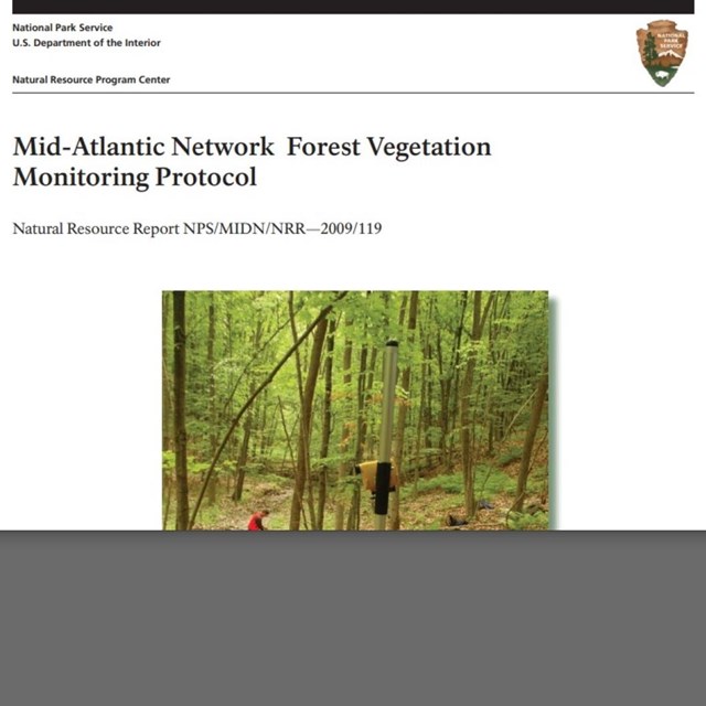 Screenshot of forest protocol cover page