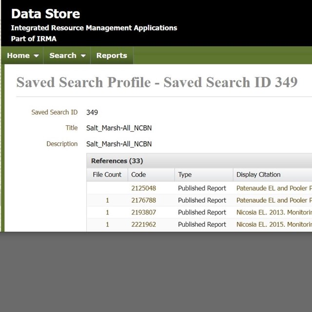 Screenshot of salt marsh reports list