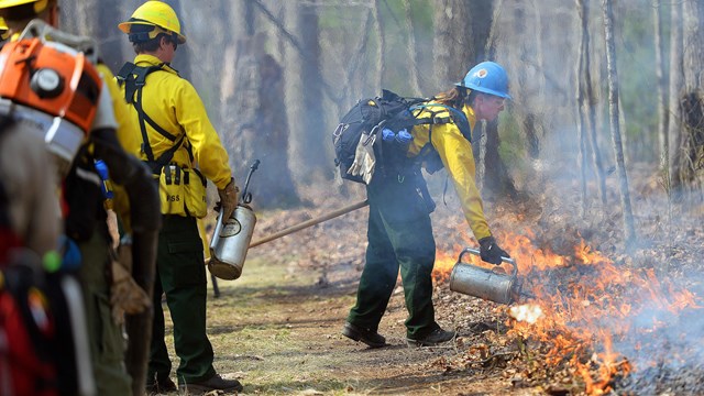 firefighter ignites a prescribed fire