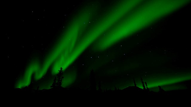 Auroral "ribbons" light up the night sky over Denali.