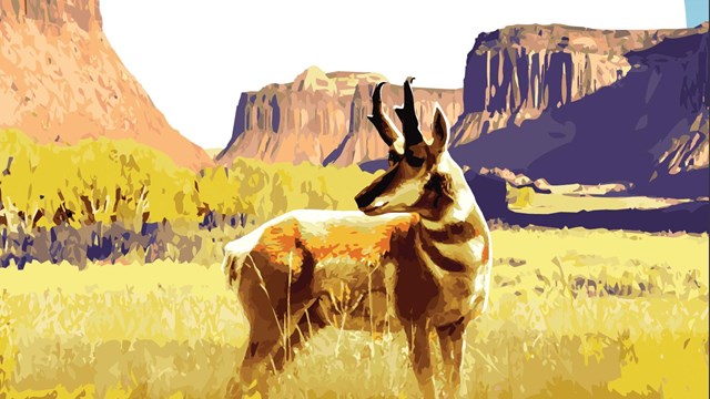 Graphic drawing of antelope in yellow grass