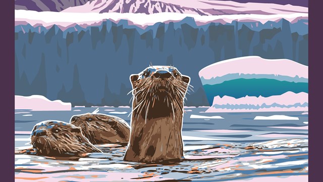 drawing of otters in glacial water