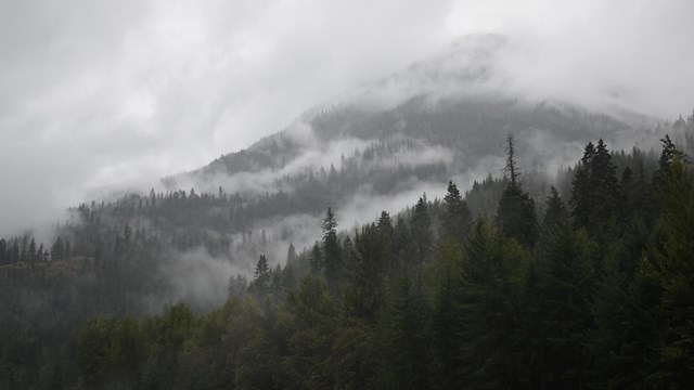 A cloudy and rainy hillside