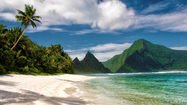 white sand beach with palm trees and forested mountains in background