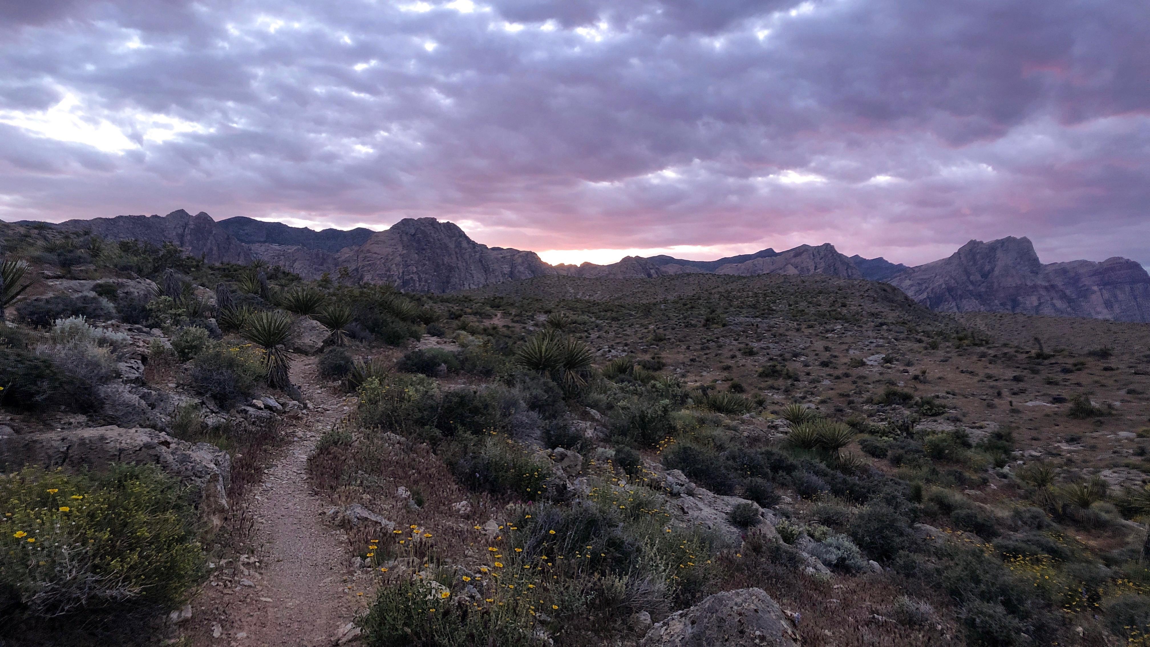 A trail leads through a desert scrubland, under a purple and pink sunset sky.