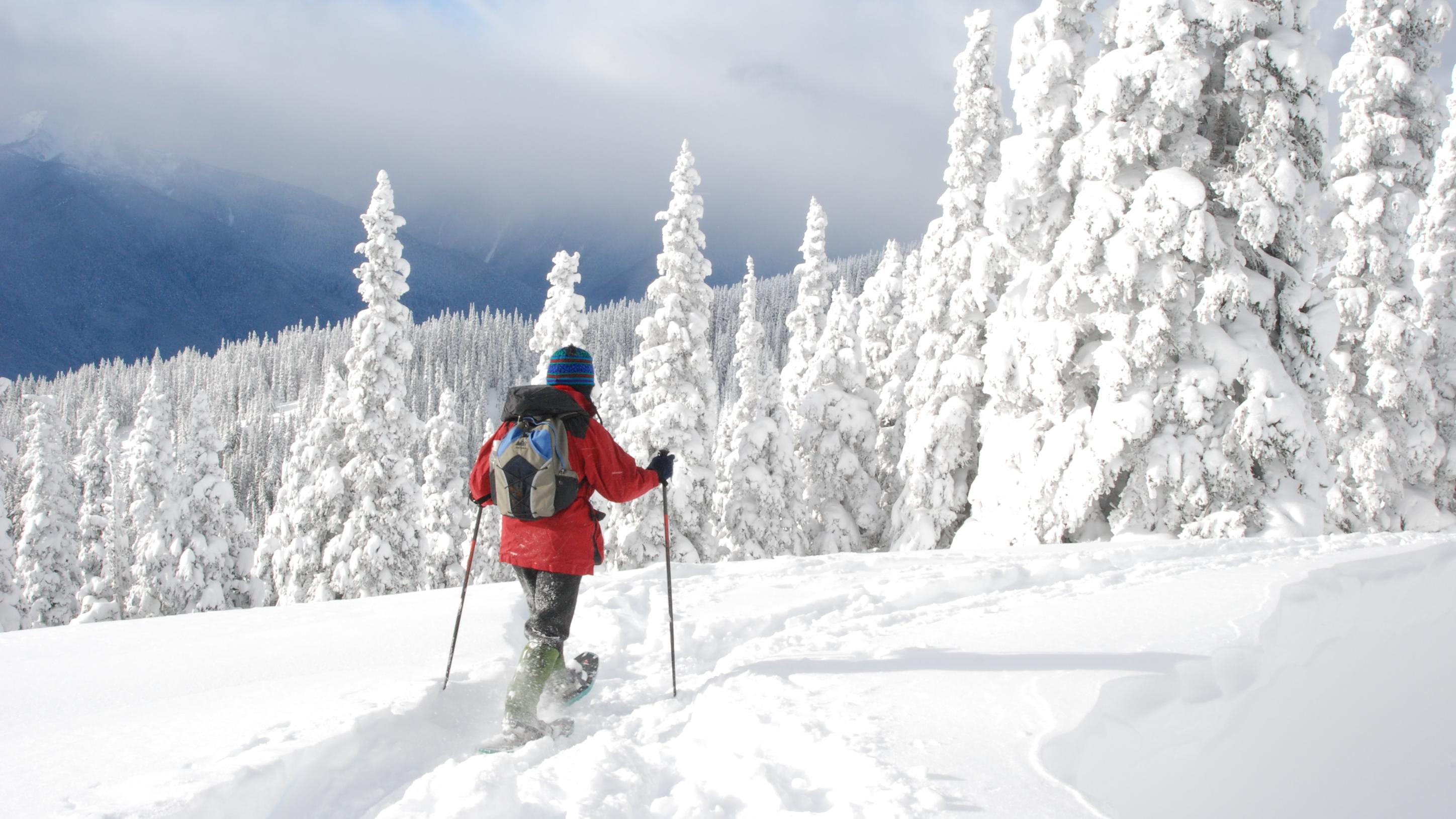 19 Incredible Washington Winter Hikes (East and West WA) - The