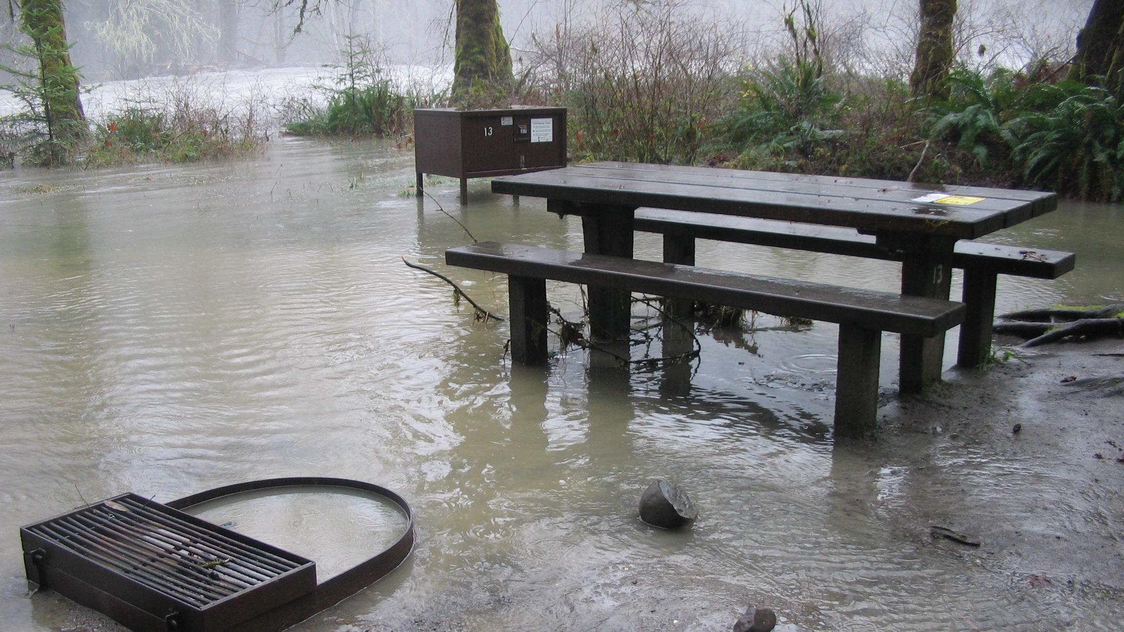 A flooded campsite with a picnic table and fire ring